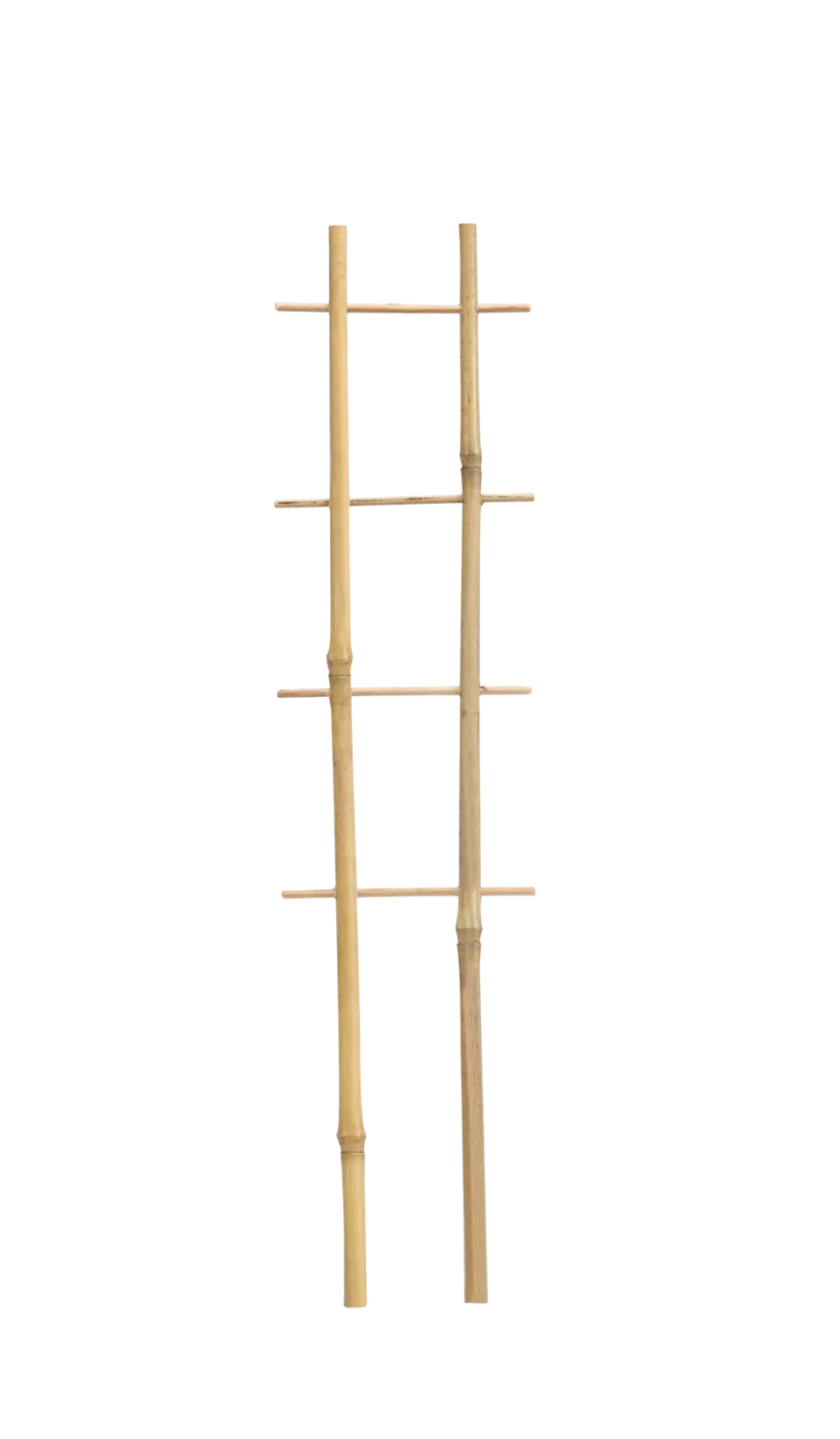 BAMBUSOVÁ ŽEBŘÍK PODVOJNÝ 37 CM balení=25ks *3120