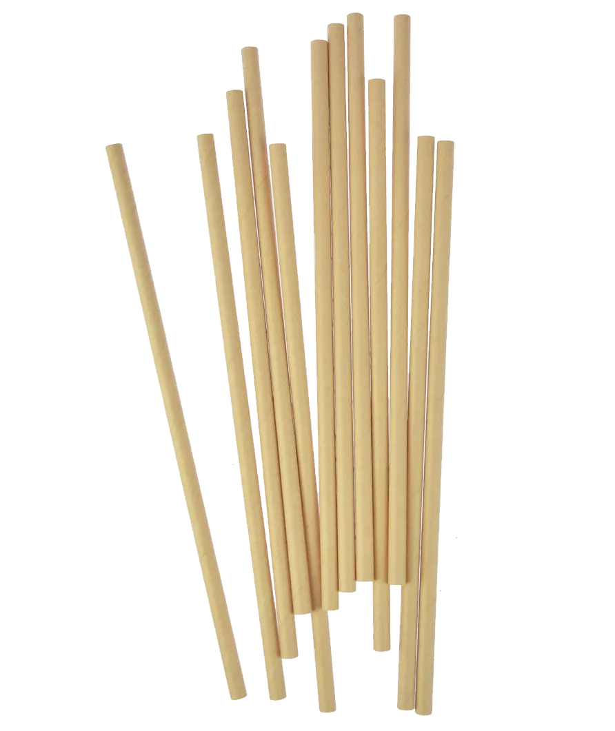 KPL.12 KS PAPÍROVÉ BRČKY 20 CM*7959