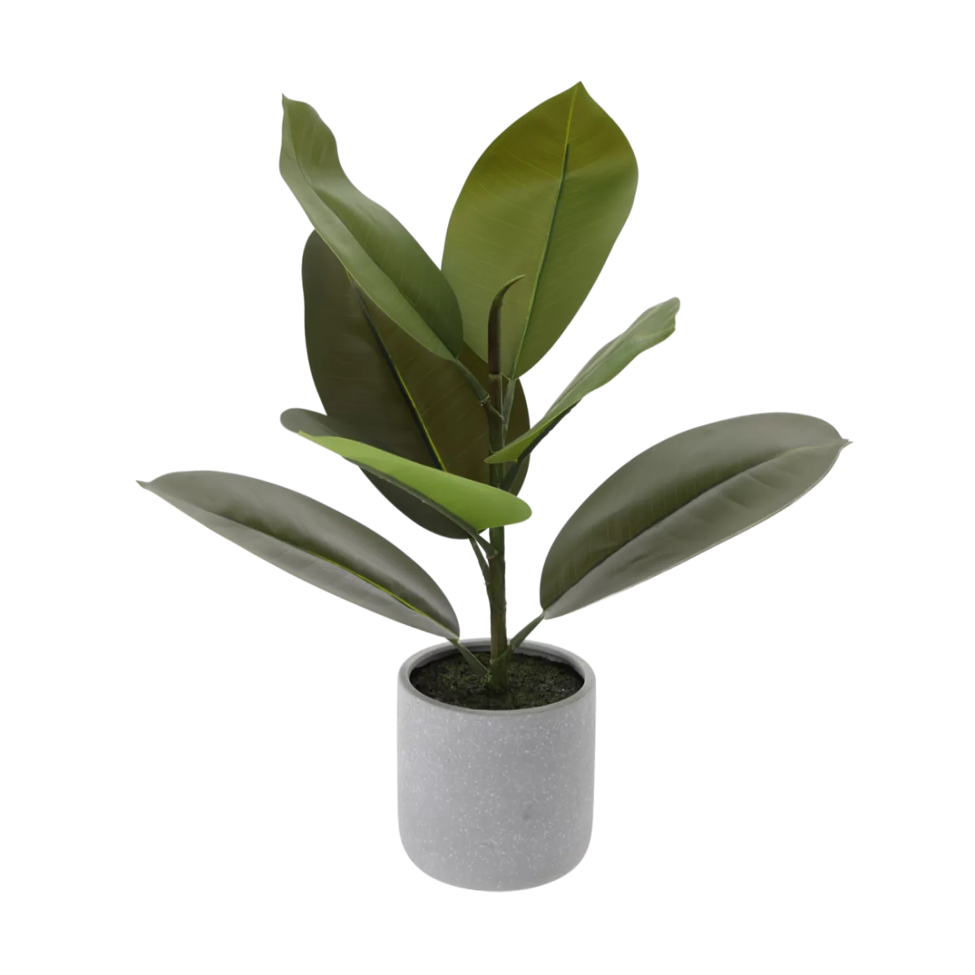 Umělá rostlina - Fikus v květináči 47 cm